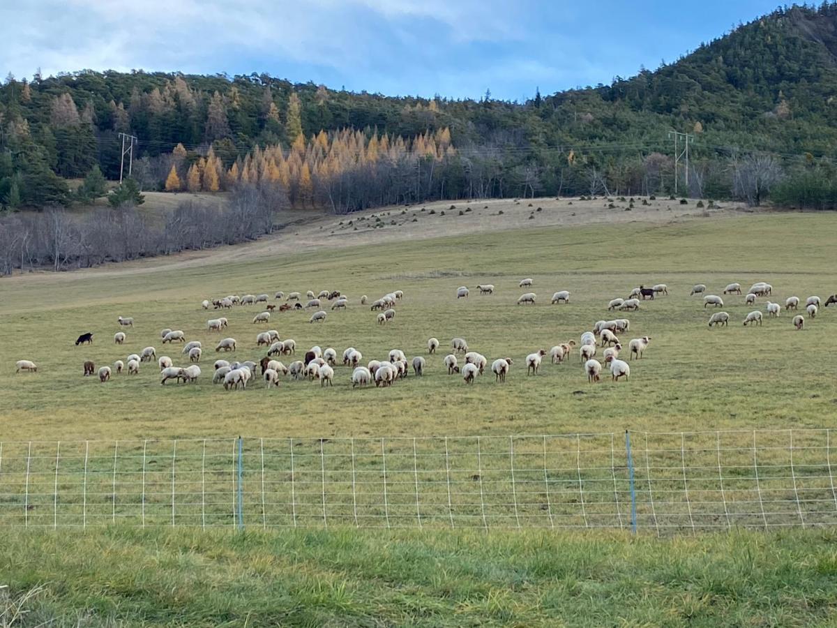 Superbe Ferme Renovee En Chalet De Luxe En Pleine Nature بارسلونات المظهر الخارجي الصورة